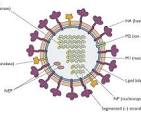 influenza