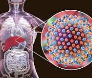 Navigating the Landscape of Hepatitis: Understanding Types, Symptoms, and Prevention