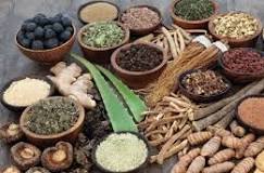 Discovering the Ancient Wisdom of Ayurvedic Healing