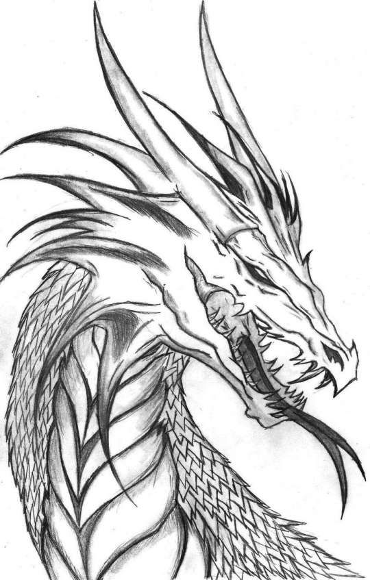 dragon drawings