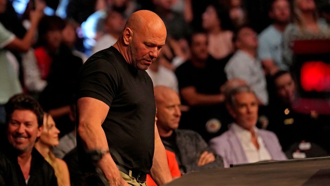 Ultimate Fighting Championship Set to Thrill Fans This Weekend