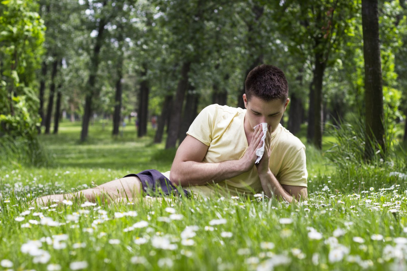 allergies