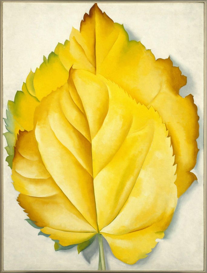 Exploring the Artistic Legacy of Georgia O’Keeffe