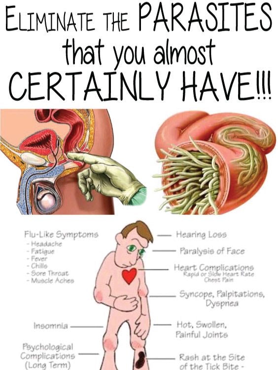 Revitalize Your Well-being with a Natural Parasite Cleanse Approach